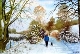 74 - Mary Vivian - A Walk with Oscar - Watercolour.JPG